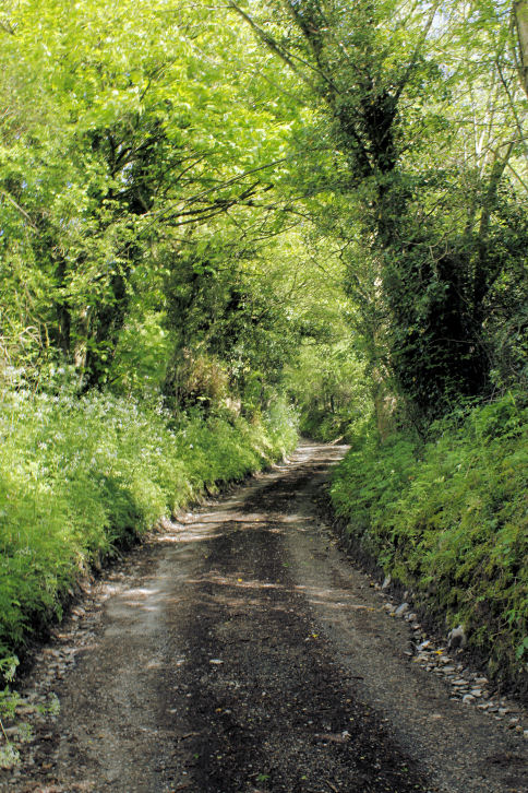 Eldon Lane Eldon Lane